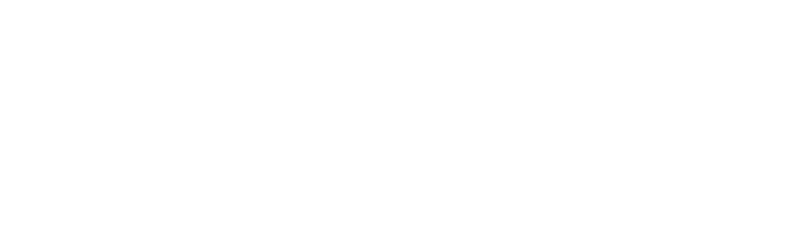 OEP S11 Level 2 module C1 | LANGUAGE INSTITUTE